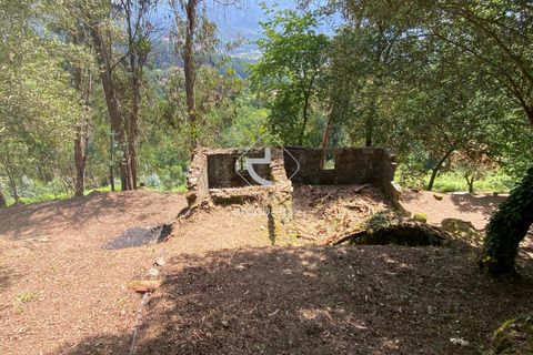 Byhus i Arcos de Valdevez, Viana do Castelo, Arcos de Valdevez - € 45.000 | Ref: AV5947 - foto 17