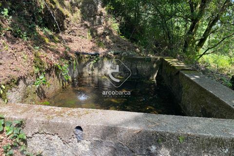 Byhus i Arcos de Valdevez, Viana do Castelo, Arcos de Valdevez - € 45.000 | Ref: AV5947 - foto 18