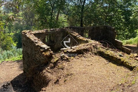 Byhus i Arcos de Valdevez, Viana do Castelo, Arcos de Valdevez - € 45.000 | Ref: AV5947 - foto 20
