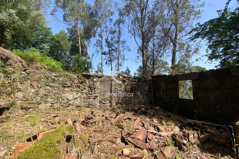 Byhus i Arcos de Valdevez, Viana do Castelo, Arcos de Valdevez - € 45.000 | Ref: AV5947 - foto 25