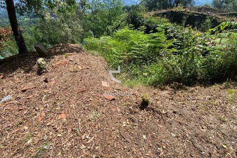 Byhus i Arcos de Valdevez, Viana do Castelo, Arcos de Valdevez - € 45.000 | Ref: AV5947 - foto 31