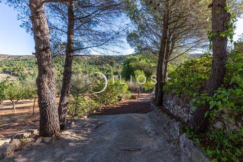 Villa a Bunol, Valencia, Bunol - € 250.000 | Ref: IV-0381 - foto 38