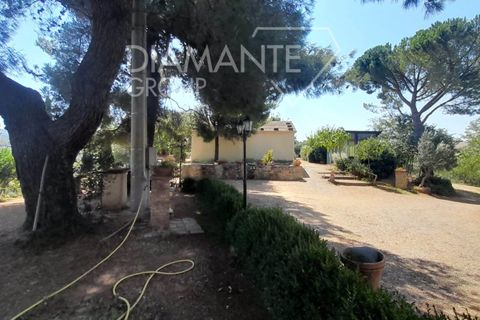 Farm hus i Cinigiano, Grosseto, Cinigiano - € 890.000 | Ref: AZ392 - foto 4