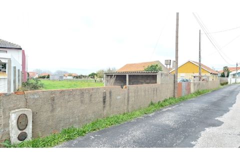 Helårsgrund i Monte Real, Leiria, Monte Real - € 49.000 | Ref: mg1823-1 - foto 1