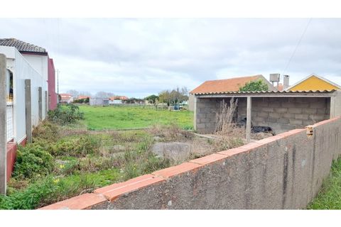 Helårsgrund i Monte Real, Leiria, Monte Real - € 49.000 | Ref: mg1823-1 - foto 3