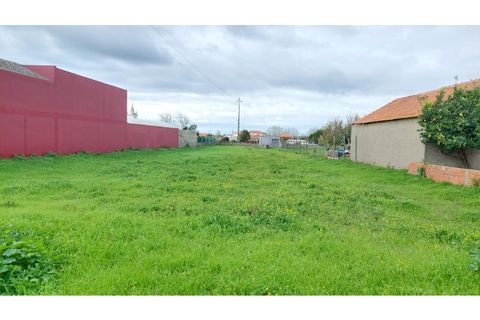 Helårsgrund i Monte Real, Leiria, Monte Real - € 49.000 | Ref: mg1823-1 - foto 4