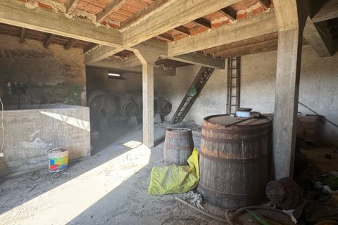 Villa a Colmeias, Leiria, Colmeias - € 85.000 | Ref: SF-SAFTI:007550 - foto 3