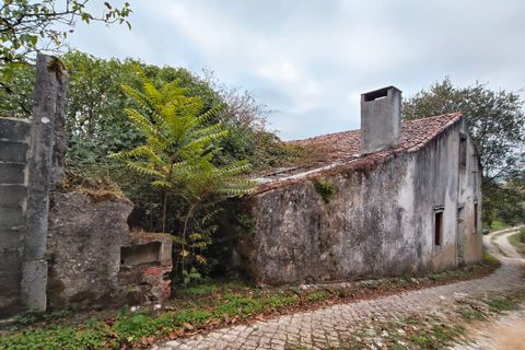 Villa a Ansiao, Leiria, Ansiao - € 59.000 | Ref: SF-SAFTI:007536 - foto 6