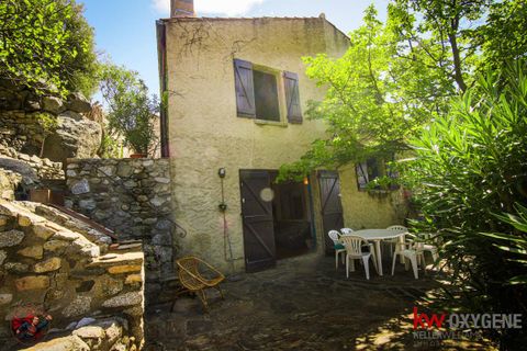 Landsbyhus i Eus, Pyrenees-Orientales, Eus - € 368.000 | Ref: 6789 - foto 9