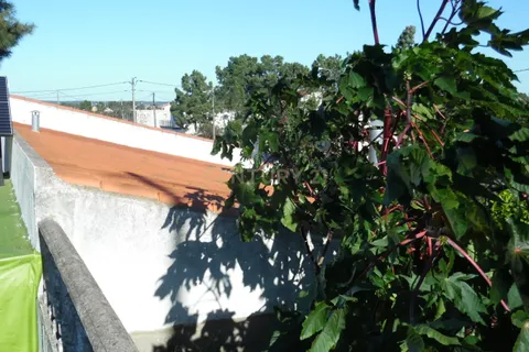 Helårsgrund i Seixal, Setubal, Seixal - € 220.000 | Ref: C0443-00484 - foto 17