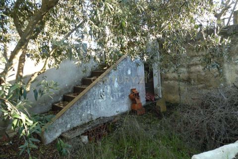 Helårsgrund i Seixal, Setubal, Seixal - € 220.000 | Ref: C0443-00484 - foto 45