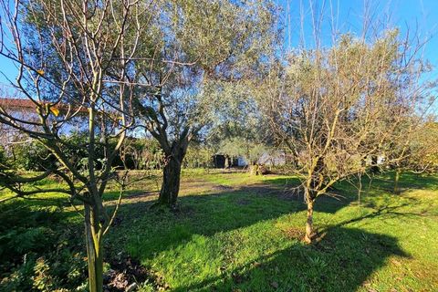 Villa a Ponte da Barca, Viana do Castelo, Ponte da Barca - € 330.000 | Ref: 126371008-89 - foto 46