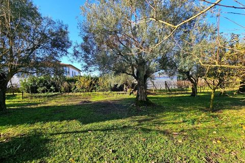 Villa a Ponte da Barca, Viana do Castelo, Ponte da Barca - € 330.000 | Ref: 126371008-89 - foto 47