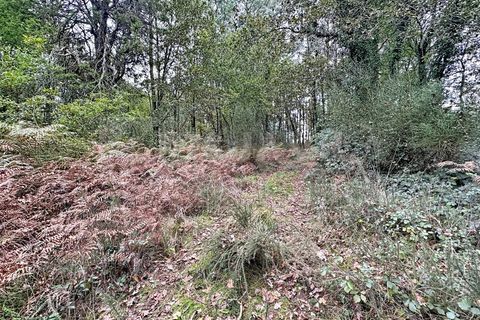 Helårsgrund i Ganfei, Viana do Castelo, Ganfei - € 14.000 | Ref: 2743 - foto 3