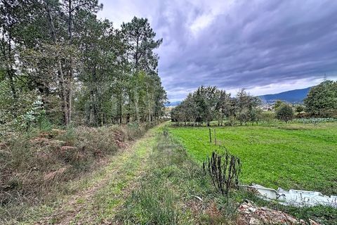 Helårsgrund i Ganfei, Viana do Castelo, Ganfei - € 14.000 | Ref: 2743 - foto 4