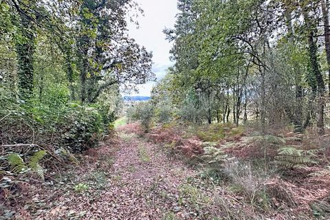 Helårsgrund i Ganfei, Viana do Castelo, Ganfei - € 14.000 | Ref: 2743 - foto 5