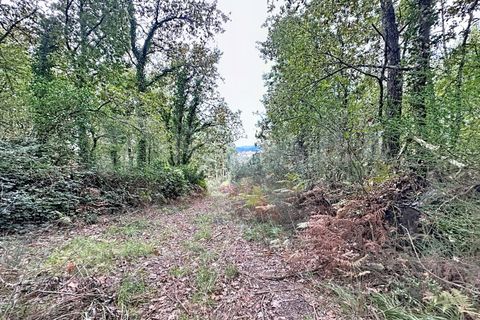 Helårsgrund i Ganfei, Viana do Castelo, Ganfei - € 14.000 | Ref: 2743 - foto 6