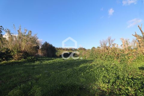Villa i Ponta Delgada, Sao Miguel, Ponta Delgada - € 199.950 | Ref: 326/M/03702 - foto 13