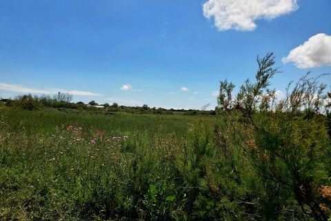 Terra a Marseillan, Herault, Marseillan - € 124.000 | Ref: 34-MARS-TV-84 - foto 5