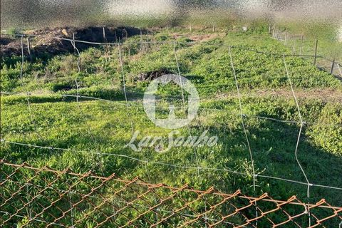 Helårsgrund i Trofa, Porto, Trofa - € 68.000 | Ref: 240-T-26054 - foto 2