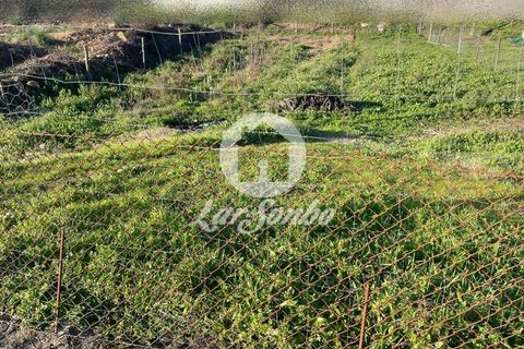 Helårsgrund i Trofa, Porto, Trofa - € 68.000 | Ref: 240-T-26054 - foto 3