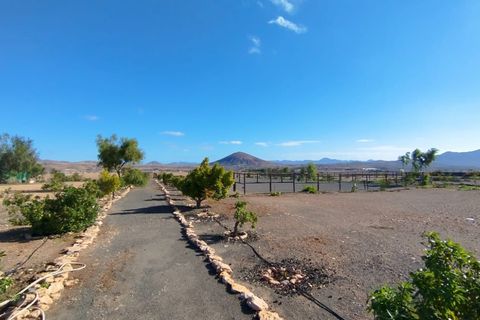 Villa a Tuineje, Fuerteventura, Tuineje - € 389.000 | Ref: VPTCTTJ2CC48125 - foto 43