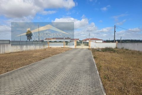 Farm i Alpiarca, Santarem, Alpiarca - € 590.000 | Ref: FIN_35 - foto 5
