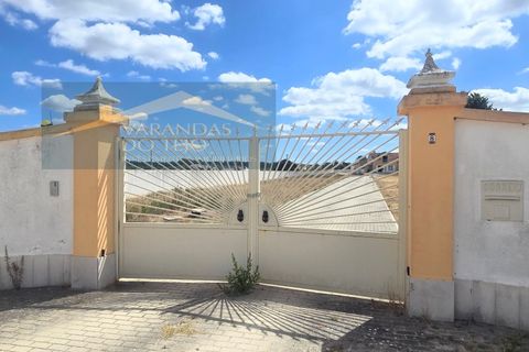 Farm i Alpiarca, Santarem, Alpiarca - € 590.000 | Ref: FIN_35 - foto 21