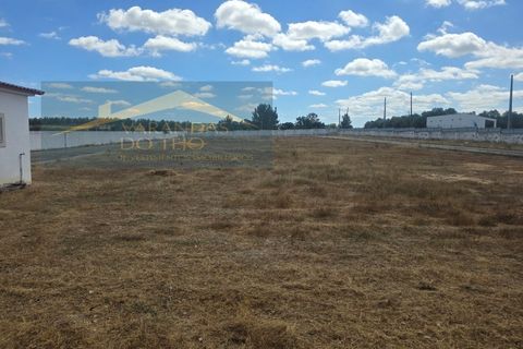 Farm i Alpiarca, Santarem, Alpiarca - € 590.000 | Ref: FIN_35 - foto 27
