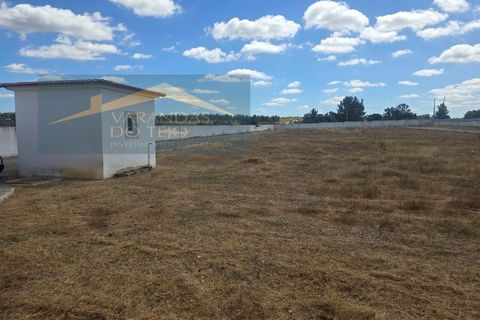 Farm i Alpiarca, Santarem, Alpiarca - € 590.000 | Ref: FIN_35 - foto 45