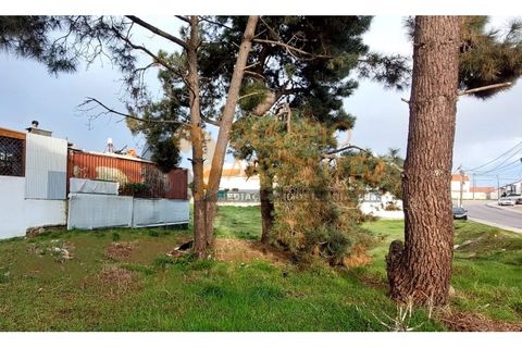 Helårsgrund i Quinta do Conde, Setubal, Quinta do Conde - € 65.000 | Ref: 3453 - foto 4
