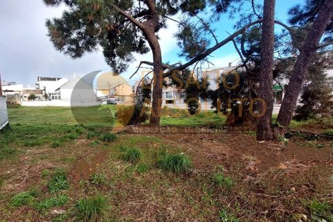 Helårsgrund i Quinta do Conde, Setubal, Quinta do Conde - € 65.000 | Ref: 3453 - foto 1