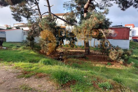 Helårsgrund i Quinta do Conde, Setubal, Quinta do Conde - € 65.000 | Ref: 3453 - foto 5