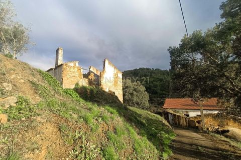 Villa a Vila de Rei, Castelo Branco, Vila de Rei - € 50.000 | Ref: C0222-06736 - foto 6