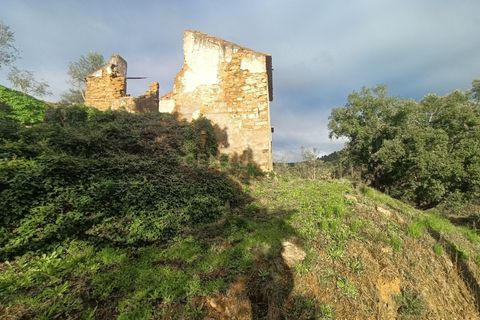 Villa a Vila de Rei, Castelo Branco, Vila de Rei - € 50.000 | Ref: C0222-06736 - foto 8