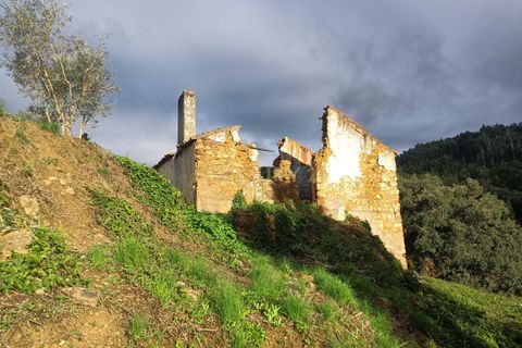 Villa a Vila de Rei, Castelo Branco, Vila de Rei - € 50.000 | Ref: C0222-06736 - foto 9