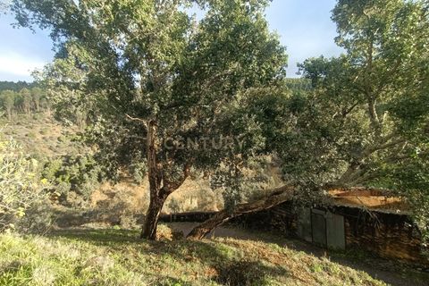 Villa a Vila de Rei, Castelo Branco, Vila de Rei - € 50.000 | Ref: C0222-06736 - foto 17