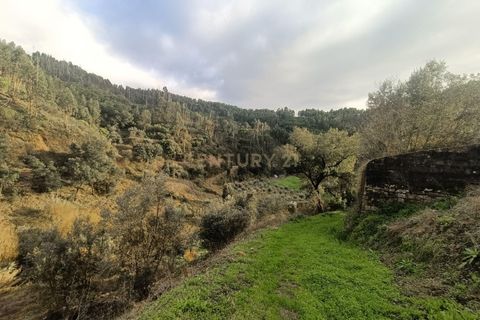Villa a Vila de Rei, Castelo Branco, Vila de Rei - € 50.000 | Ref: C0222-06736 - foto 22