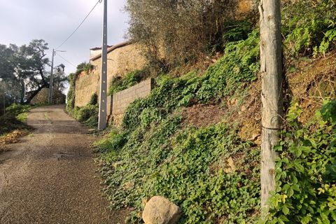 Villa a Vila de Rei, Castelo Branco, Vila de Rei - € 50.000 | Ref: C0222-06736 - foto 24