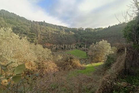 Villa a Vila de Rei, Castelo Branco, Vila de Rei - € 50.000 | Ref: C0222-06736 - foto 27