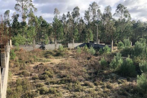 Helårsgrund i Pombal, Leiria, Pombal - € 75.000 | Ref: C0381-00855 - foto 2