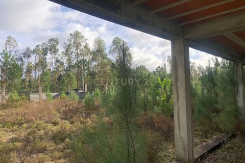 Helårsgrund i Pombal, Leiria, Pombal - € 75.000 | Ref: C0381-00855 - foto 3