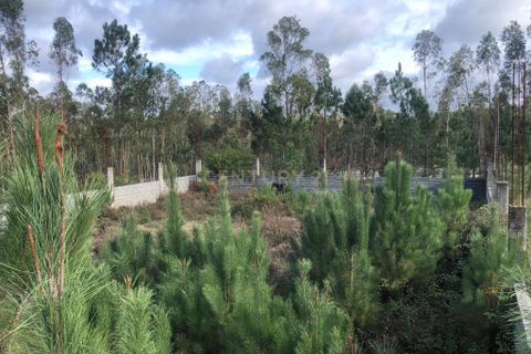Helårsgrund i Pombal, Leiria, Pombal - € 75.000 | Ref: C0381-00855 - foto 4