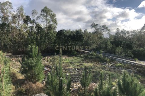 Helårsgrund i Pombal, Leiria, Pombal - € 75.000 | Ref: C0381-00855 - foto 11