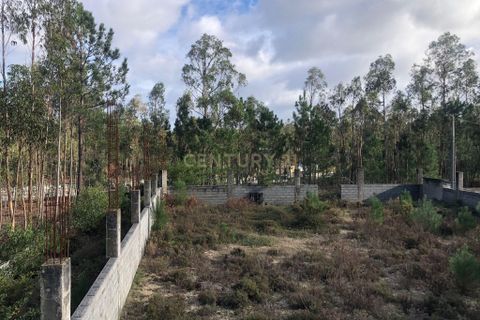 Helårsgrund i Pombal, Leiria, Pombal - € 75.000 | Ref: C0381-00855 - foto 12