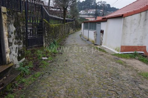 Helårsgrund i Barcelos, Braga, Barcelos - € 32.500 | Ref: 254260190 - foto 5