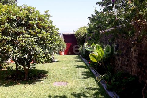Erhvervsejendom i Barcelos, Braga, Barcelos - € 700.000 | Ref: 254260066 - foto 5