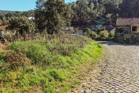 Helårsgrund i Barcelos, Braga, Barcelos - € 67.500 | Ref: 254260191 - foto 4