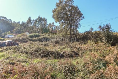Helårsgrund i Barcelos, Braga, Barcelos - € 67.500 | Ref: 254260191 - foto 6