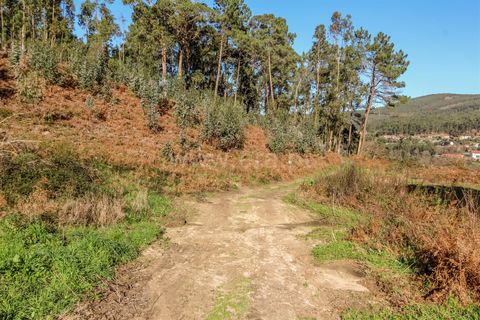 Helårsgrund i Barcelos, Braga, Barcelos - € 67.500 | Ref: 254260192 - foto 6